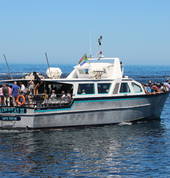 Drumbeat Charters Hout Bay Outdoor & Adventure School Holiday Activities 2_small