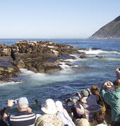 Drumbeat Charters Hout Bay Outdoor & Adventure School Holiday Activities 3_small