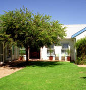 Shady gardens