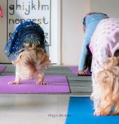 YogaBeams Sandton Yoga 3_small