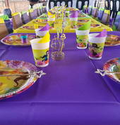 TeeJays Party Hire Kempton Park Party Hire 4_small