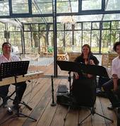 CP Music: Trio
