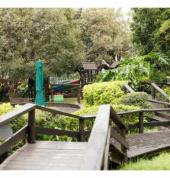 Bluebird Pre-Primary School Dunkeld West Early Learning Education Centres 2_small