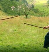 Korean Sword Art Langenhoven Park Other Martial Arts Classes & Lessons 1_small