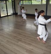 Waterfall Karate Club- Midrand Midrand City Karate Classes & Lessons 5_small