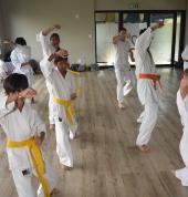 Waterfall Karate Club- Midrand Midrand City Karate Classes & Lessons 6_small