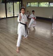 Waterfall Karate Club- Midrand Midrand City Karate Classes & Lessons 9_small