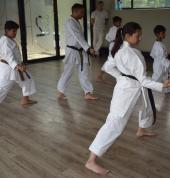 Waterfall Karate Club- Midrand Midrand City Karate Classes & Lessons 12_small