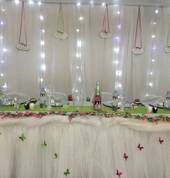 Theanay Projects Alton Party Suppliers 2_small