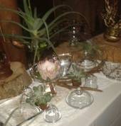 Theanay Projects Alton Party Suppliers 3_small