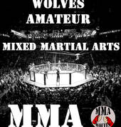Mix Martial Arts
