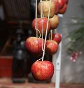 Plumpudding Aberdeen City Family Holidays 3_small