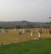Our arena