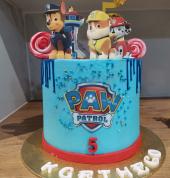 Rosys Cakes and Events Protea Glen Birthday Cakes 3_small