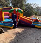Palm with slide & ball pit 3m x 6m