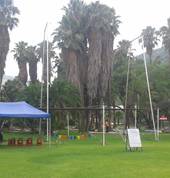 Flying Trapeze