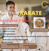 Palm Court Karate Centre Constantia Kloof Constantia Kloof Karate Classes & Lessons 1_small