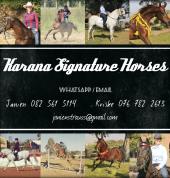 Karana Signature Horses Upington City Horse Riding Classes & Lessons 1_small