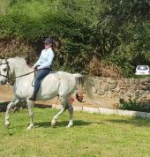 Karana Signature Horses Upington City Horse Riding Classes & Lessons 2_small