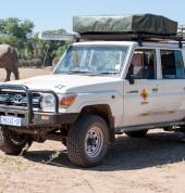 African safaris