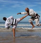 Cape Town Korean Martial Arts Wynberg Other Martial Arts Classes & Lessons 1_small