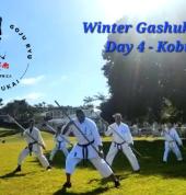 Kobudo Class