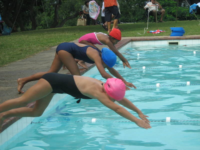 Westville Swimming Academy Swimming Classes Lessons For Kids Activeactivities