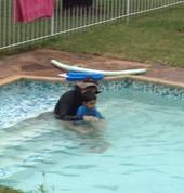 Westville Swimming Academy Westville Swimming Classes & Lessons 2_small