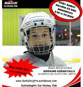 Try out Ice Hockey - First lesson is FREE!!