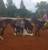 HDH  Horse Riding Lessons Randvaal Horse Riding Classes & Lessons 2_small
