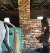 Plaiting Lesson