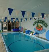 Turtle Time Swim School Kempton Park Swimming Classes & Lessons 1_small