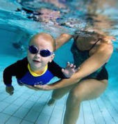 Majestic Miniatures Horse Stud Springs City Swimming Classes & Lessons 3_small