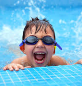 Majestic Miniatures Horse Stud Springs City Swimming Classes & Lessons 4_small