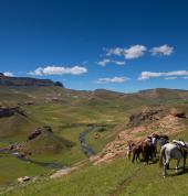 3-Day Horse Rides