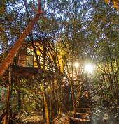 Teniqua Treetops Eco Treehouse Accommodation Sedgefield Family Holidays 1_small