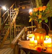 Teniqua Treetops Eco Treehouse Accommodation Sedgefield Family Holidays 2_small