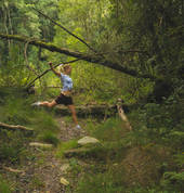 Teniqua Treetops Eco Treehouse Accommodation Sedgefield Family Holidays 4_small