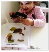 Learning!
