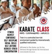 Karate-Do International (SA) Pretoria New Muckleneuk Karate Classes & Lessons 1_small