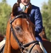 Bringing horses & riders together