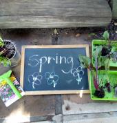 Baby gardeners