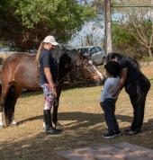 CH Equestrian Academy Lemmermoor Horse Riding Classes & Lessons 1_small