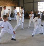 Martial Arts and Natural Health Centre Worcester City Martial Arts Academies 3_small