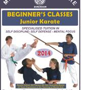 Martial Arts and Natural Health Centre Worcester City Martial Arts Academies 5_small