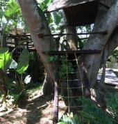 A huge tree house for lots of fun.