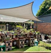 Motley Green Urban Farm @ Amanzi