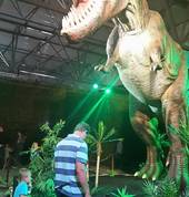 Amazing Africa Exhibitions t/a Expo Africa Eversdal Entertainment School Holiday Activities 2_small