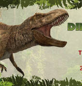 Amazing Africa Exhibitions t/a Expo Africa Eversdal Entertainment School Holiday Activities 1_small