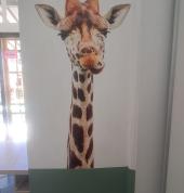 Little Republic Preschool Roodepoort West Preschools 13_small